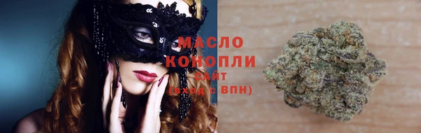 винт Абаза
