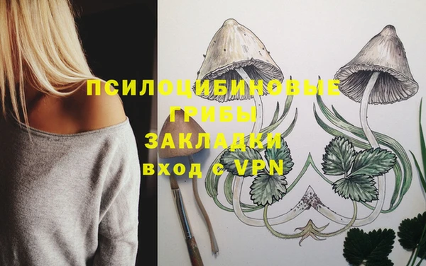 МДПВ Алексеевка