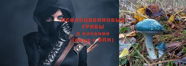 2c-b Алексин